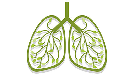 Respiratory Diseases