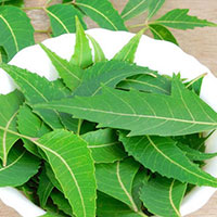 Siddha Medicine for Seasonal Diseases